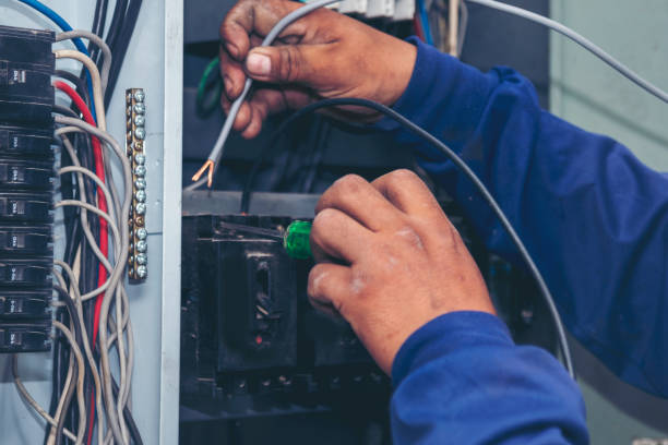 Best Residential Electrician Services  in Ruskin, FL